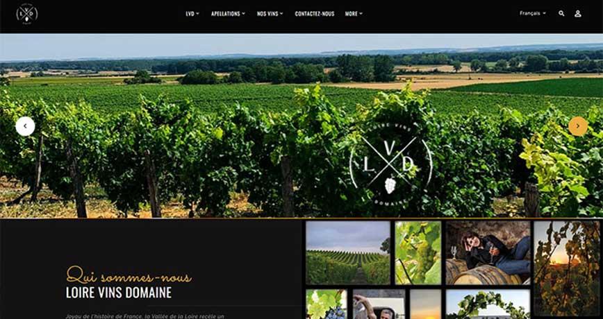 Loire vin domaine